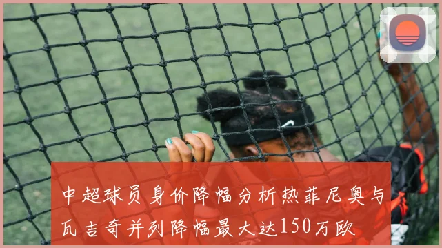 中超球员身价降幅分析热菲尼奥与瓦吉奇并列降幅最大达150万欧